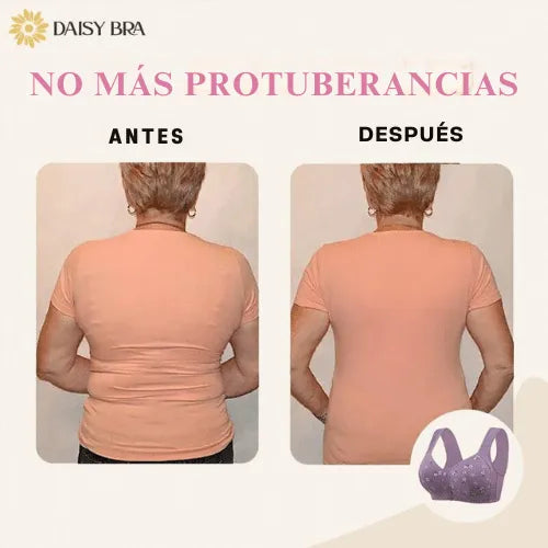 Brasier Daisy con broche frontal